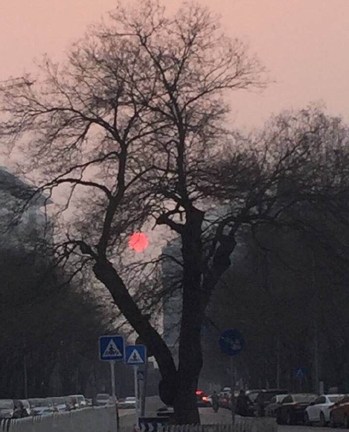 凤凰彩票